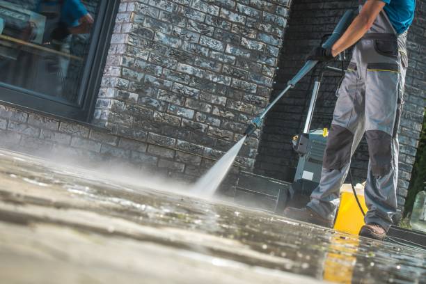 Animal Enclosure Cleaning in Foscoe, NC